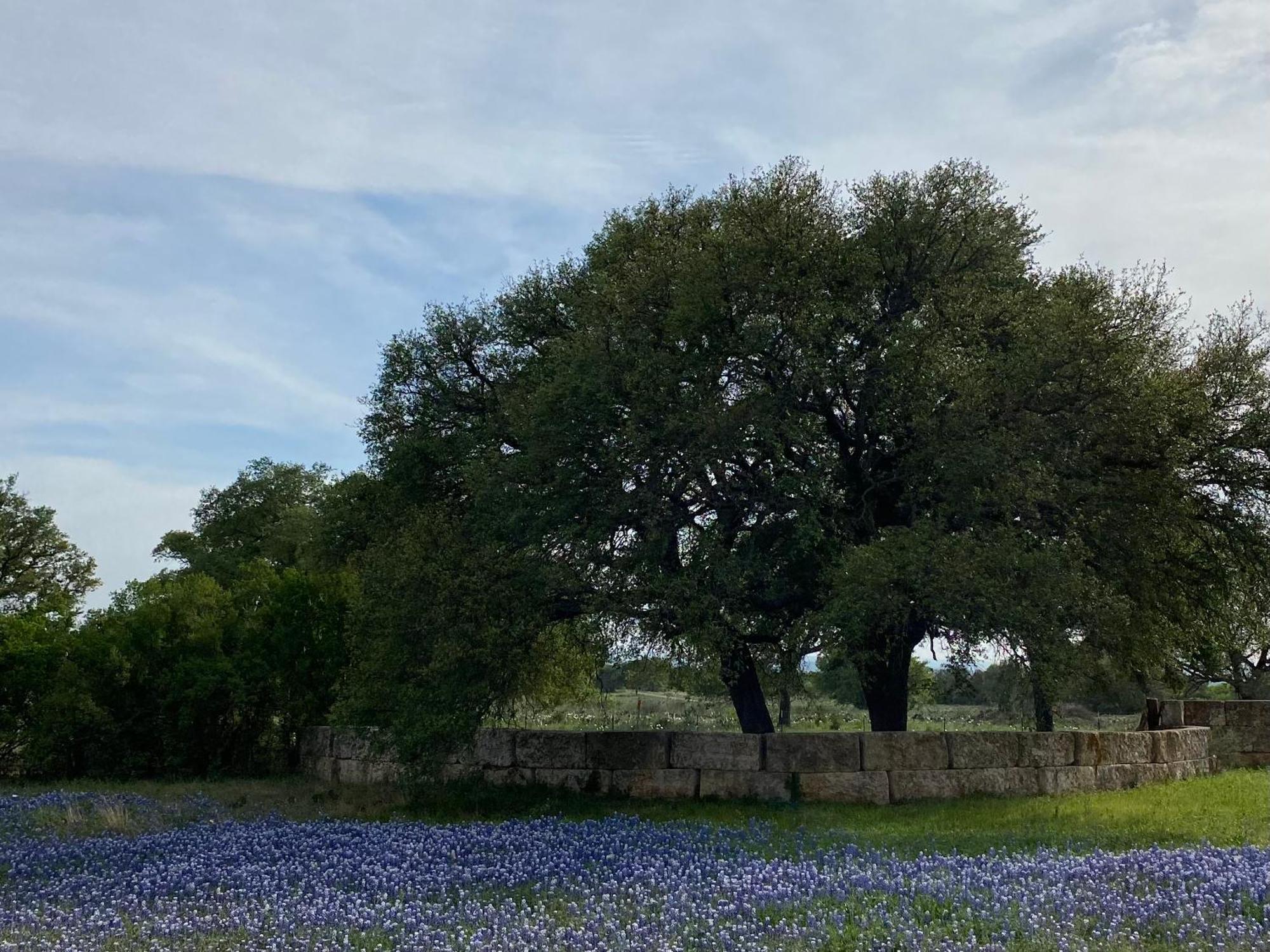 V700 Ranch Stays Marble Falls Exteriör bild